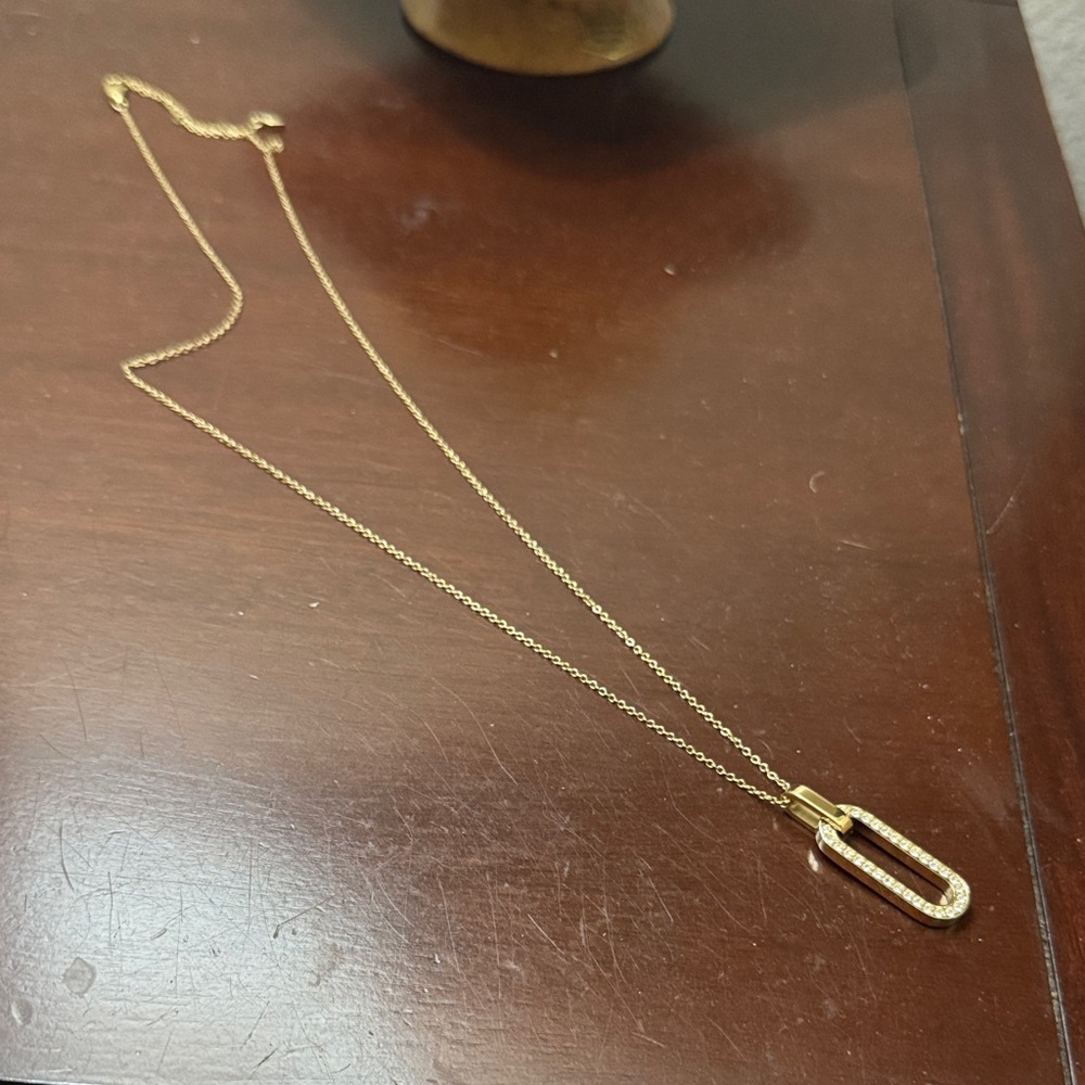 Fossil Dainty Gold Necklace